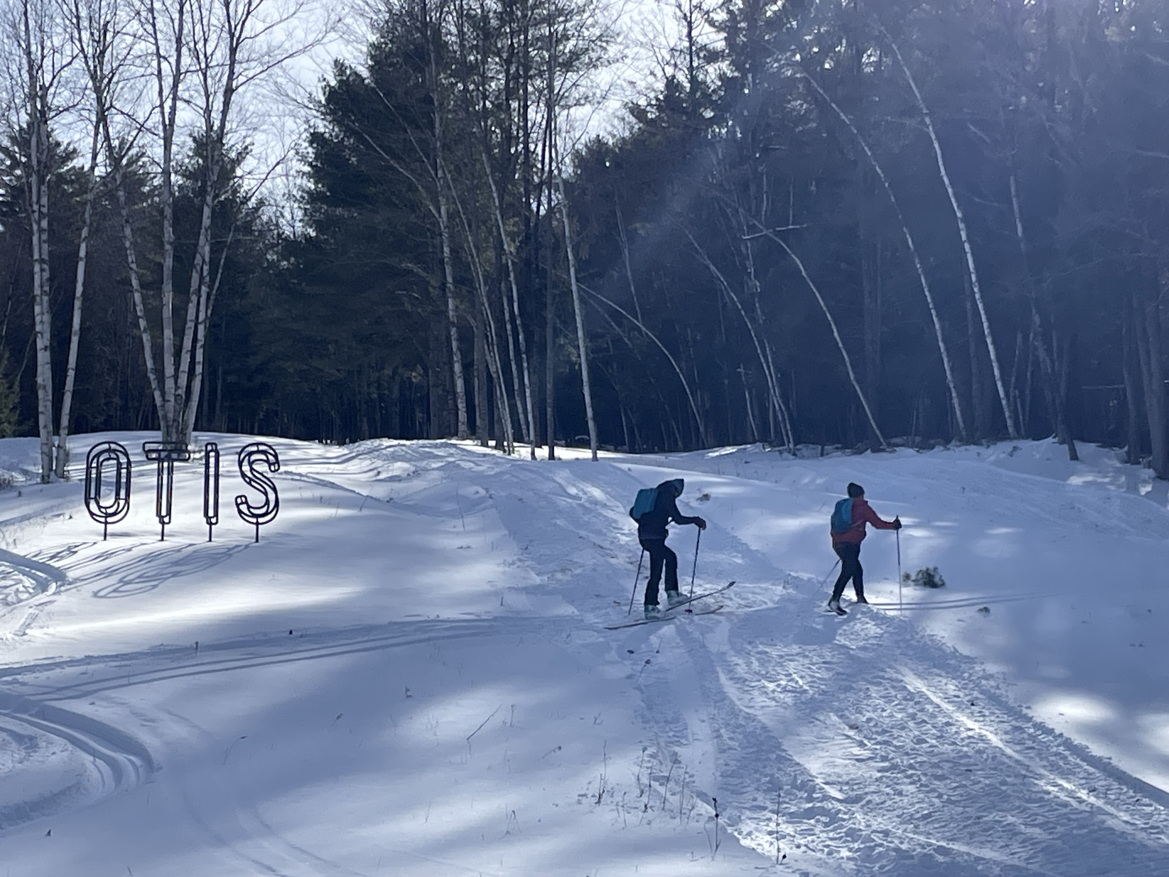 cross country skiing
