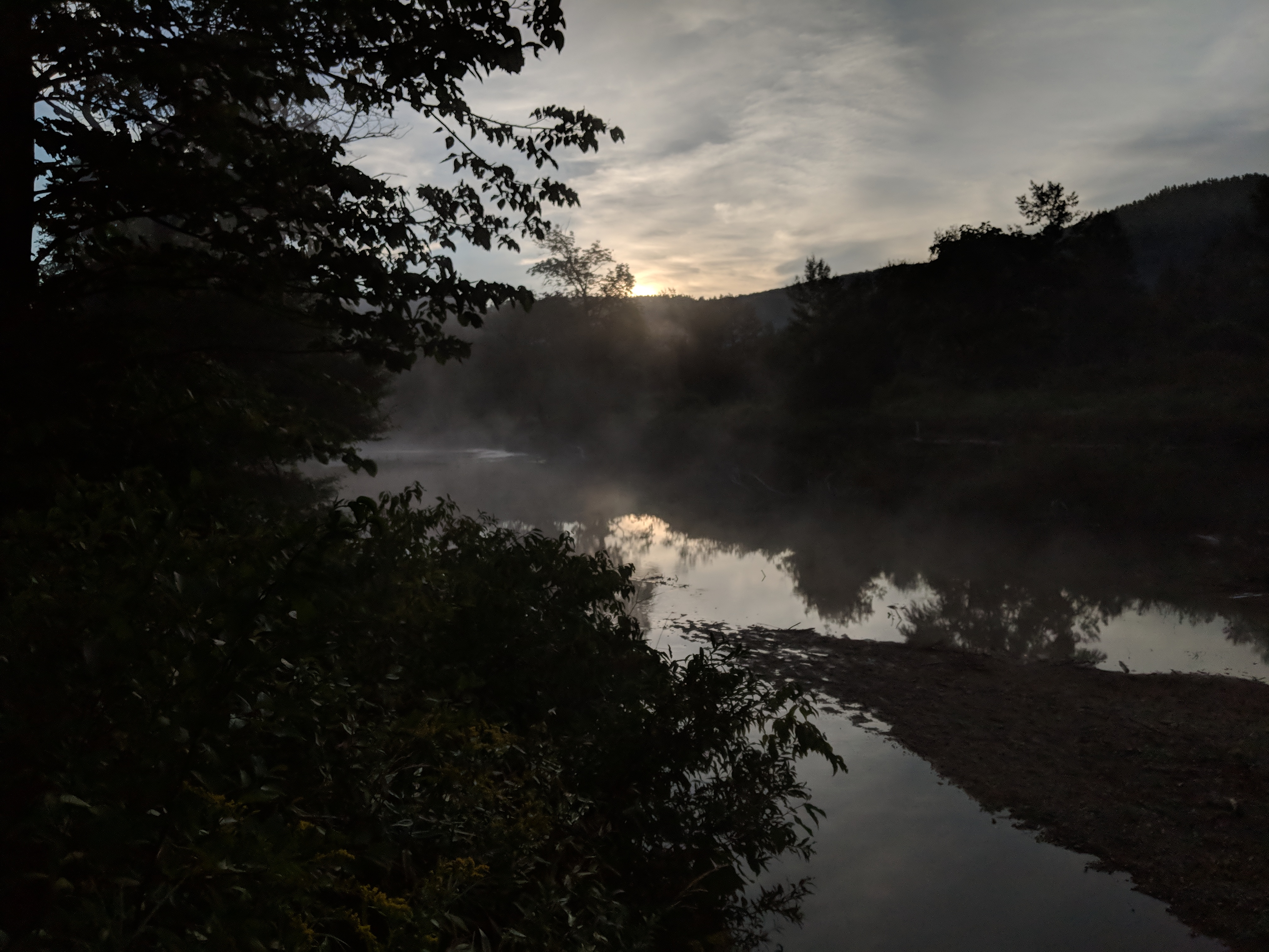 river and trees