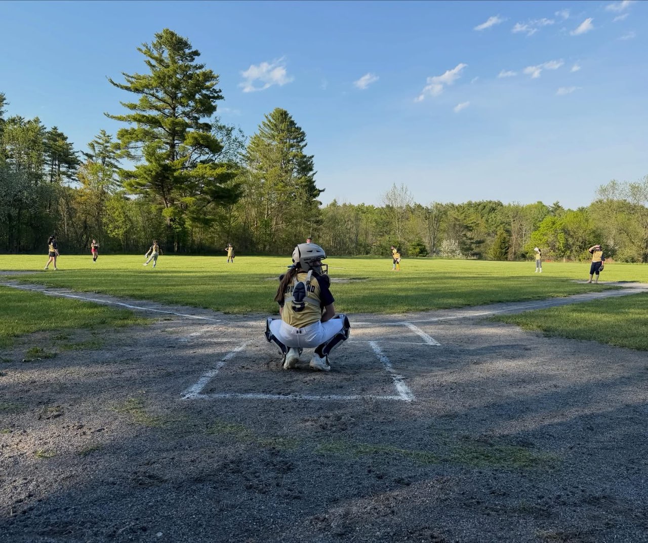 2026 Softball from behind the catcher