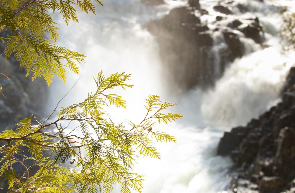 Waterfall