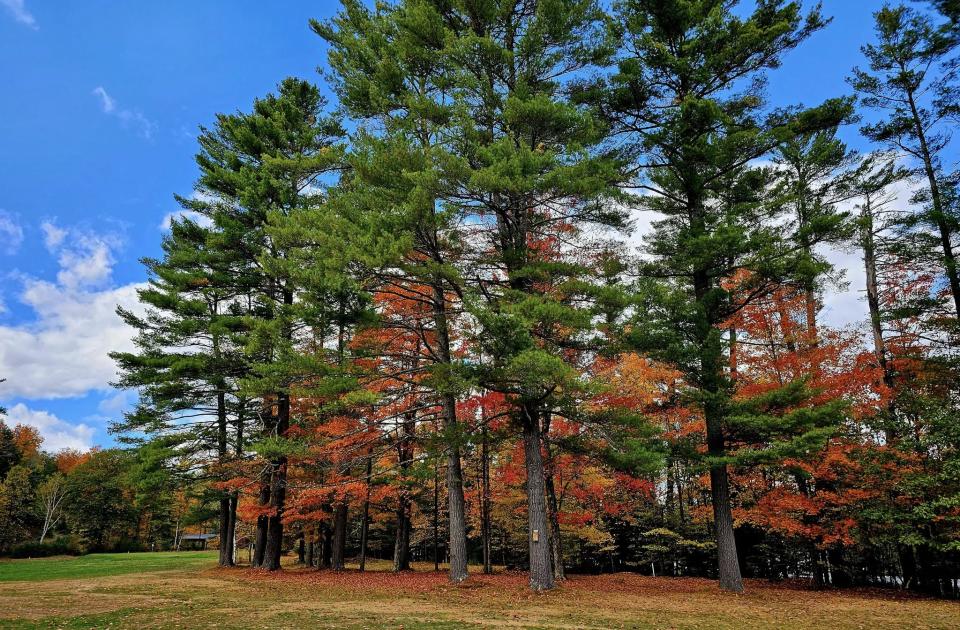 fall