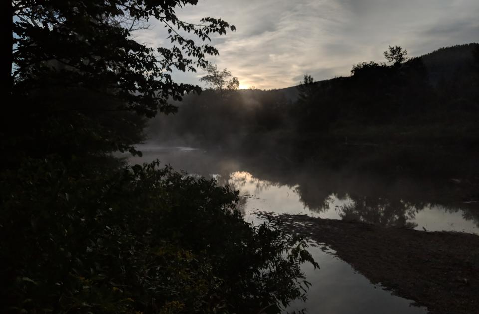 river and trees